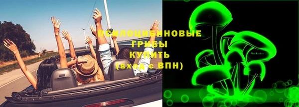 бутират Дмитриев