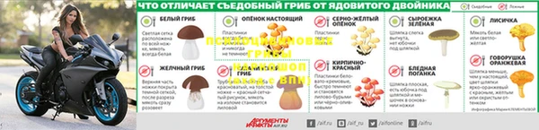 трава Елизово