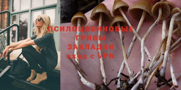 трава Елизово