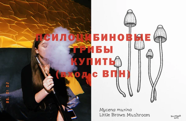 трава Елизово