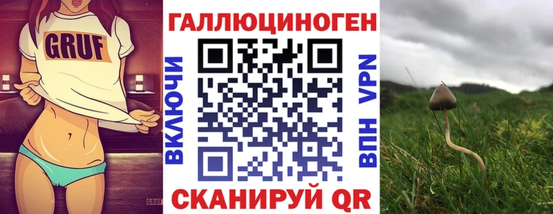 Галлюциногенные грибы мухоморы  Купить закладки  Шумерля 